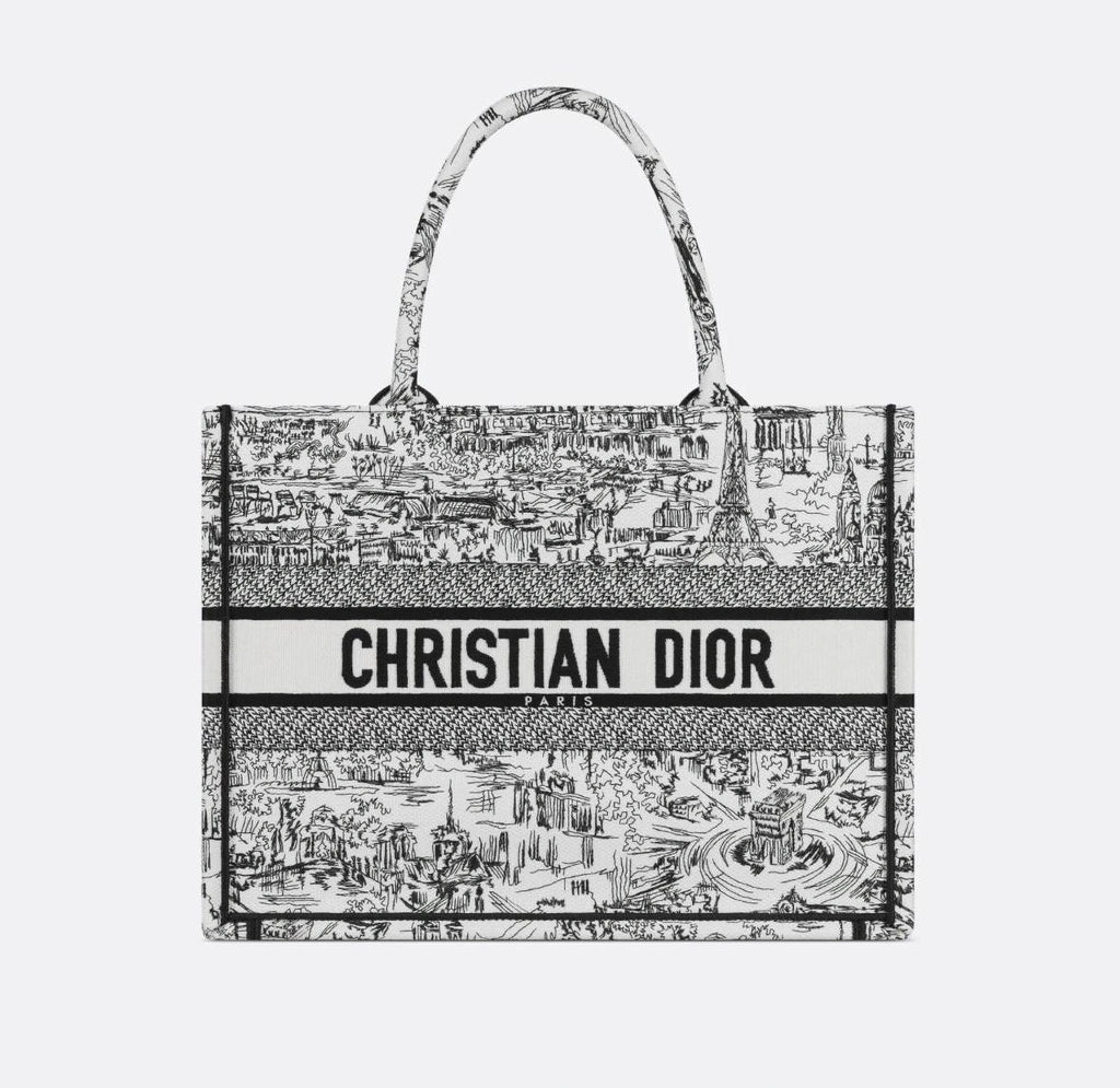 Dior Medium Black & White Plan de Paris Embroidery Book Tote bag image 0